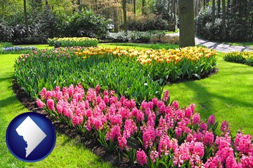 botanical garden with Washington, DC icon