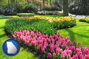 botanical garden with Georgia icon