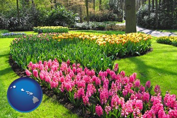 botanical garden with Hawaii icon