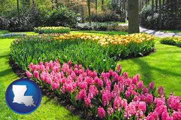 botanical garden with Louisiana icon