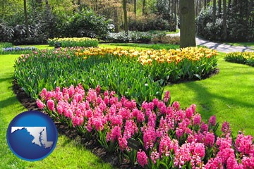 botanical garden with Maryland icon